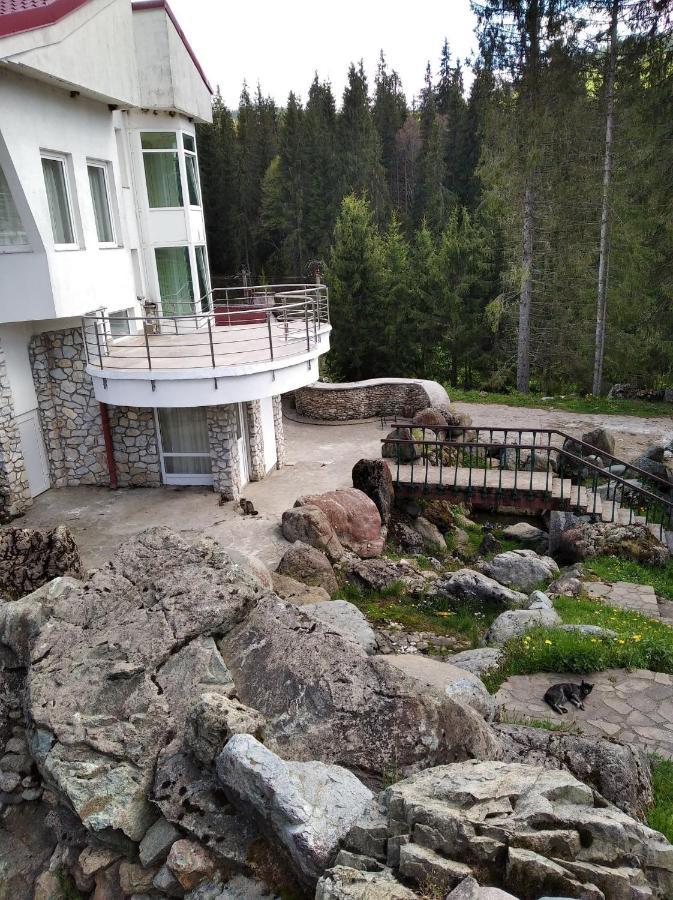Vila Liliacul Stana de Vale Eksteriør bilde